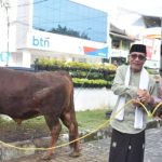 Doc. Puncak acara pun ditandai dengan penyerahan simbolis sapi kurban dari Presiden Republik Indonesia, H. Prabowo Subianto (Foto Dokumentasi : MI)