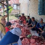 Doc. Serdang Berdagai