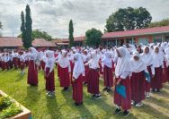 Doc. Sulfi
