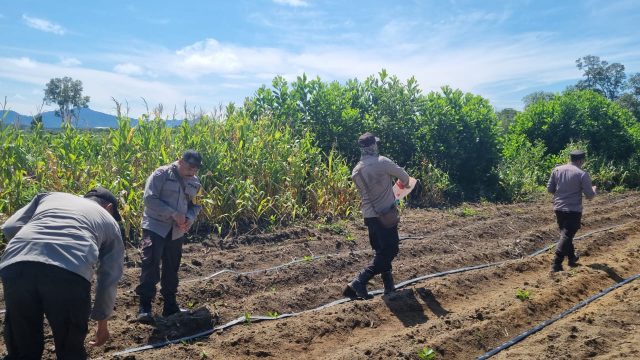 Doc. Semangat kolaborasi dan ketahanan pangan berkobar di Tumbang Titi! polri