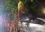 Doc. Petugas PPSU Kelurahan Pondok Pinang bersama anggota Sat Lantas Jakarta Selatan tengah mengevakuasi pohon tumbang yang menimpa sebuah mobil dan menutup sebagian badan jalan di Jalan Kartika Utama, Pondok Pinang, Jakarta Selatan, pada Selasa malam, 17 Juni 2025. Evakuasi dilakukan di tengah kondisi hujan guna mengamankan lokasi dan memperlancar arus lalu lintas. (Sumber foto Dokumentasi: PPSU Kelurahan Pondok Pinang).