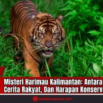 Doc. Seekor harimau berjalan menyusuri lebatnya hutan, menggambarkan misteri keberadaan Harimau Kalimantan (Panthera tigris sondaica) yang hingga kini masih menjadi perdebatan. Gambar ini digunakan sebagai ilustrasi dalam laporan mendalam mengenai dugaan keberadaan subspesies harimau yang pernah menghuni Pulau Kalimantan, berdasarkan jejak fosil, cerita rakyat, dan hasil kajian ilmiah yang terus dikembangkan. Upaya pelestarian dan konservasi terhadap predator besar seperti harimau menjadi refleksi penting atas hilangnya biodiversitas akibat tekanan lingkungan dan ulah manusia. (Doc: sandiwartanews.com).