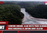 Doc. Cagar alam seluas 2.313 hektar ini dikenal lewat legenda Prabu Siliwangi dan Maung Bodas. Selain nilai spiritual, kawasan ini kaya akan flora-fauna langka seperti Rafflesia Padma, owa Jawa, dan macan tutul. Sayangnya, perburuan liar dan kerusakan habitat terus menjadi ancaman serius. Tradisi seperti Syukuran Laut menunjukkan harmoni antara manusia dan alam. Leuweung Sancang bukan hanya hutan, tapi simbol budaya dan ekologi yang harus dijaga. (SandiWartaNews.com).