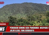 Doc. Gambar menunjukkan lereng hijau subur Gunung Gede Pangrango di Jawa Barat. Pemandangan yang tampak tenang ini menyimpan bahaya tersembunyi: 17 jalur pendakian ilegal yang berbahaya. (Doc: SandiWartaNews.com).