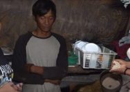 hamil yanti