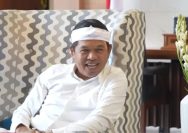 dedi mulyadi