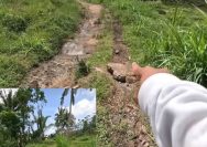 Jalan Rusak