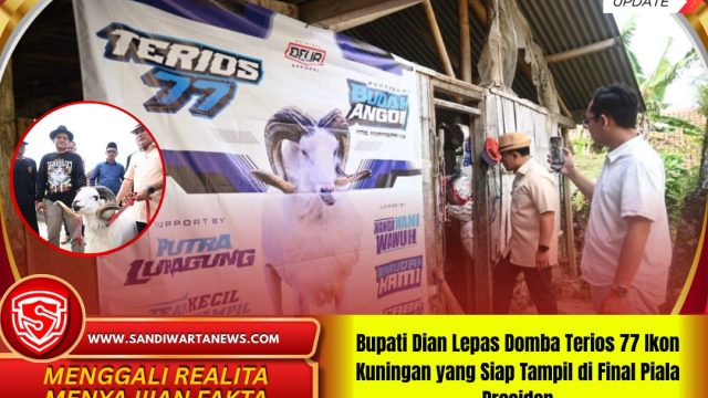 Bupati Dian Lepas Domba Terios 77 Ikon Kuningan yang Siap Tampil di Final Piala Presiden