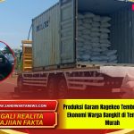 Produksi Garam Nagekeo Tembus 4.500 Ton Ekonomi Warga Bangkit di Tengah Harga Murah
