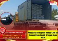 Produksi Garam Nagekeo Tembus 4.500 Ton Ekonomi Warga Bangkit di Tengah Harga Murah