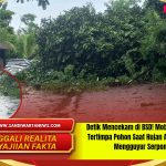 Detik Mencekam di BSD! Mobil Terparkir Tertimpa Pohon Saat Hujan Angin Besar Mengguyur Serpong