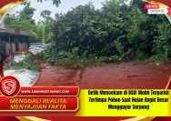 Detik Mencekam di BSD! Mobil Terparkir Tertimpa Pohon Saat Hujan Angin Besar Mengguyur Serpong