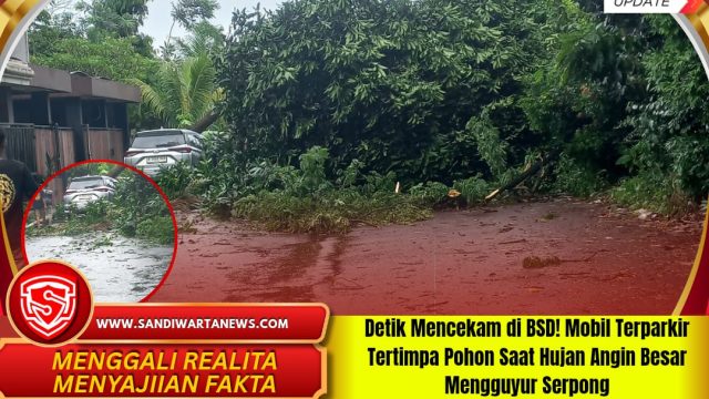 Detik Mencekam di BSD! Mobil Terparkir Tertimpa Pohon Saat Hujan Angin Besar Mengguyur Serpong