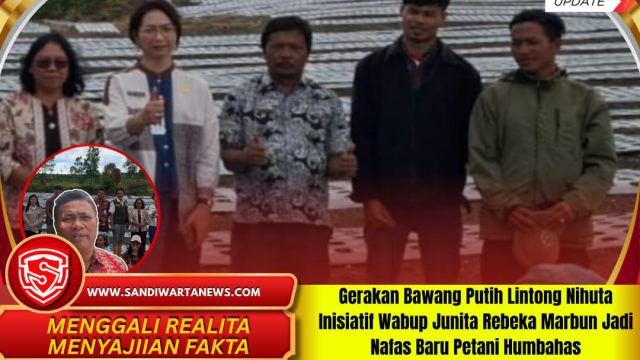 Gerakan Bawang Putih Lintong Nihuta Inisiatif Wabup Junita Rebeka Marbun Jadi Nafas Baru Petani Humbahas