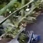 Luka Lama Kembali Terbuka Jembatan Kaduagung Kembali Telan Korban Warga Desak Pemerintah Segera Bertindak!