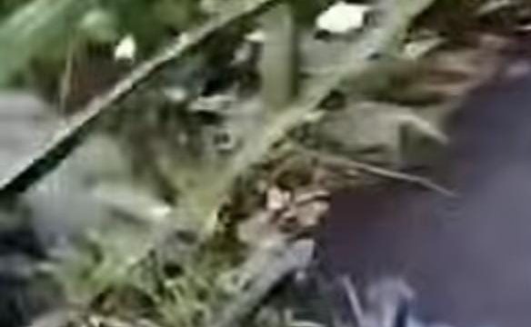 Luka Lama Kembali Terbuka Jembatan Kaduagung Kembali Telan Korban Warga Desak Pemerintah Segera Bertindak!