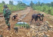 Spirit Tanah Pejuang Satgas TMMD ke-126 Kodim 0601/Pandeglang Buktikan Dedikasi Tanpa Lelah Bangun Jalan Harapan Warga