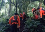 Puncak Batukaru 4 Pendaki Nyaris Tak Bisa Turun SAR Berjuang Menembus Dingin Gunung