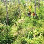 Nenek 75 Tahun Ditemukan Tak Bernyawa Usai Hilang Bersama Dua Sapinya