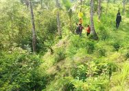 Nenek 75 Tahun Ditemukan Tak Bernyawa Usai Hilang Bersama Dua Sapinya