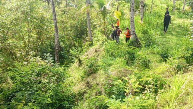 Nenek 75 Tahun Ditemukan Tak Bernyawa Usai Hilang Bersama Dua Sapinya