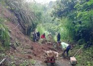 Aksi Kilat Warga&Bhabinkamtibmas Bongkar Longsor: Jalan Usaha Tani Banjar Tinga