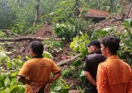 Hujan Dini Hari Picu Longsor di Japara, Jalan Usaha Tani Warga Singkup Terputus Total
