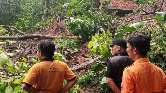 Hujan Dini Hari Picu Longsor di Japara, Jalan Usaha Tani Warga Singkup Terputus Total