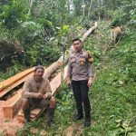 Polres Minahasa Tindak Lanjuti Laporan Dugaan Pencurian Kayu di Desa Makalonsow