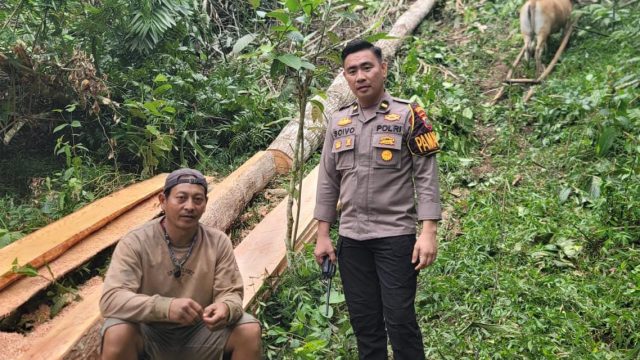 Polres Minahasa Tindak Lanjuti Laporan Dugaan Pencurian Kayu di Desa Makalonsow