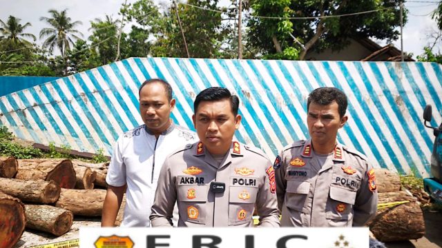 5 Pelaku Penebangan Liar Sonokeling di Gunung Ciremai Resmi Jadi Tersangka