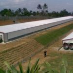 Sosialisasi Kandang Ayam di Cihirup, Pemkab Kuningan Tekankan Izin dan Lingkungan