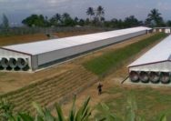 Sosialisasi Kandang Ayam di Cihirup, Pemkab Kuningan Tekankan Izin dan Lingkungan