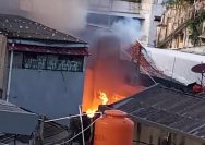 Kebakaran Tanah Sereal Tambora, Penyebab Masih Dalam Penyelidikan