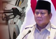 Prabowo Kaji Opsi WFH dan Efisiensi BBM untuk Antisipasi Dampak Krisis Energi Global