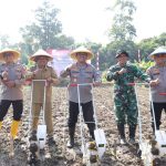 Tanam Jagung kuartal II Polda Banten Dorong Ketahanan Pangan 