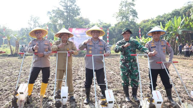Tanam Jagung kuartal II Polda Banten Dorong Ketahanan Pangan 