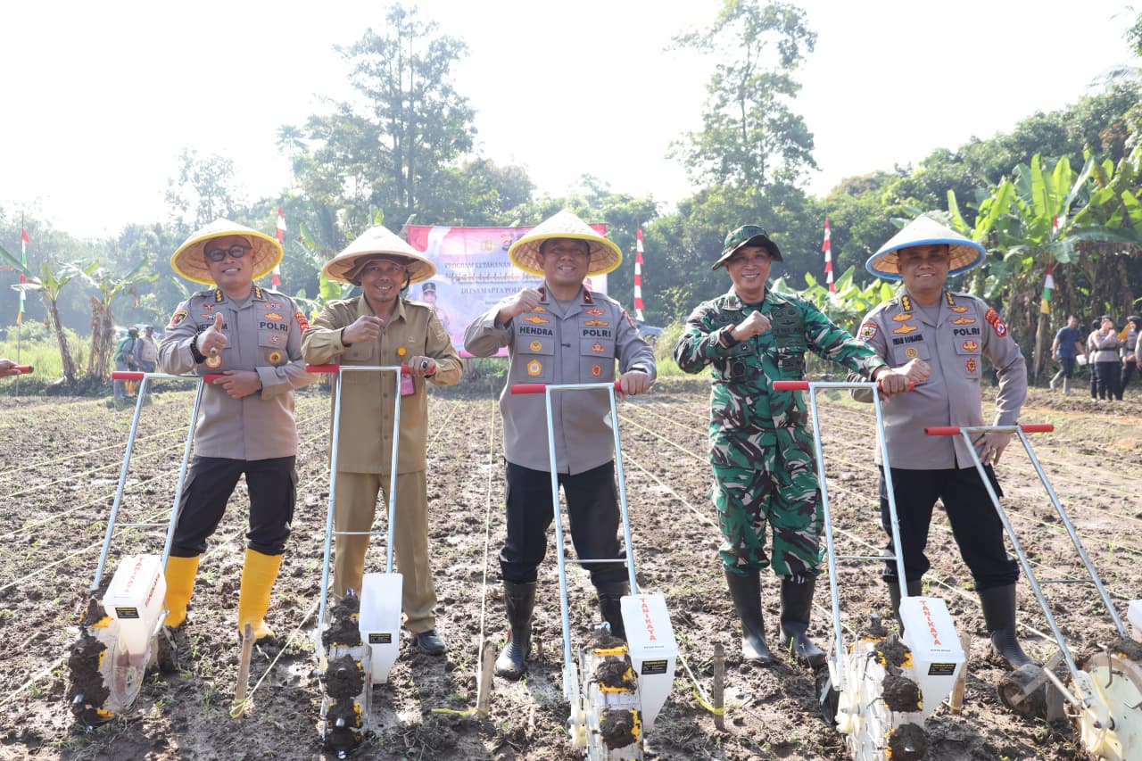 Tanam Jagung kuartal II Polda Banten Dorong Ketahanan Pangan
