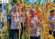 Polres Kuningan Tinjau Lahan Jagung, Perkuat Komitmen Dukung Swasembada Pangan Nasional