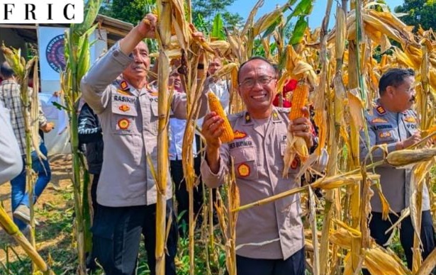 Polres Kuningan Tinjau Lahan Jagung, Perkuat Komitmen Dukung Swasembada Pangan Nasional