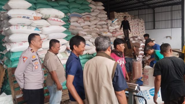 Satlantas Polres Kuningan dan Dinas Pertanian Perkuat Pengawasan Tanaman Jagung di Desa Cibulan