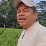 Perangi Begal, Copet, dan Jambret, Dedi Mulyadi Buka Sayembara Berhadiah hingga Rp50 Juta